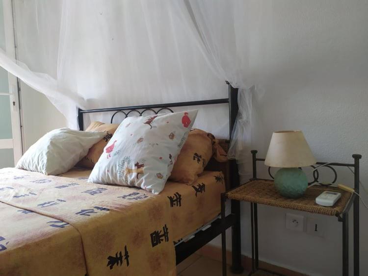 Charmant Appartement En Bord De Mer Avec Piscine Gourbeyre Exterior foto